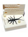 Рибальська форма для силіконових приманок CustomMayFly 0,75 дюймів ID B06 від Bugmolds