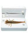 Рибальська форма для силіконових приманок DivingBug 2 дюймів ID B12 від FishUp