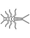 Рибальська форма для силіконових приманок TinyMayFly 1,5 дюймів ID B21 від Aksenti