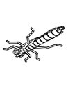 Рибальська форма для силіконових приманок TinyDragonFly 1,5 дюймів ID B37 від Aksenti