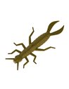 Рибальська форма для силіконових приманок Dermaptera 1,5 дюймів ID B48 від AngryBaits