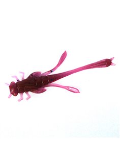 Рибальська форма для силіконових приманок DragonWorm 1,8 дюймів ID B58 від AngryBaits