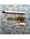 Рибальська форма для силіконових приманок Gammarus 5 дюймів ID B82 від Manz
