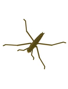 Рибальська форма для силіконових приманок WaterStriderBait 0,8 дюймів ID B126 від Bugmolds