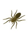 Рибальська форма для силіконових приманок SpiderBaits 2,5 дюймів ID B150 від Bugmolds