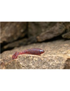 Съедобный силикон Виброхвост Fatik 2.8" цвет 11 Grape UV... 2