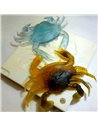 Рибальська форма для силіконових приманок 3dCrab 1,4 дюймів ID C197 від SavageGear